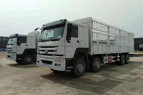 Howo 8X4 Cargo Truck