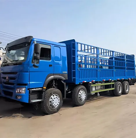 SINOTRUK CARGO TRUCK