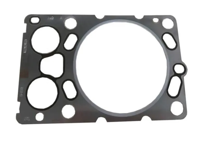 VG1500040049-gasket