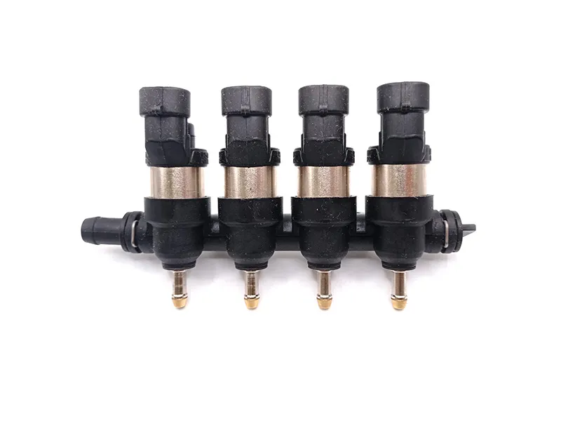 CNG Injectors & Rails