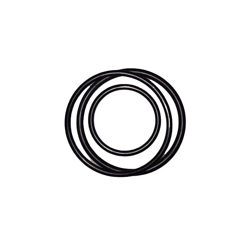 Junta tórica 07000-13100 Spanish