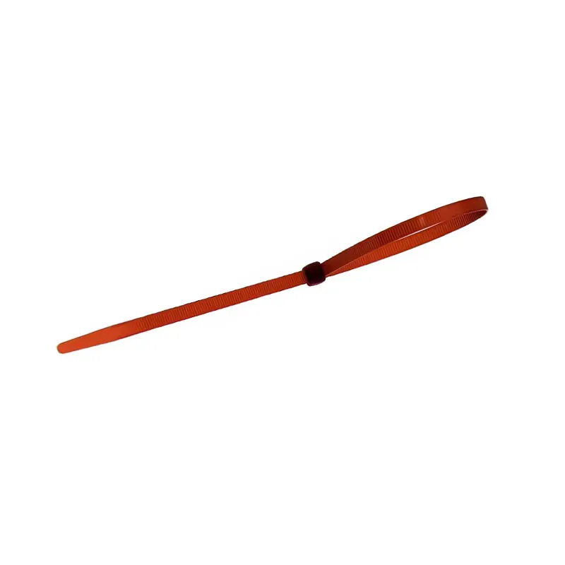 Sujetador de plástico