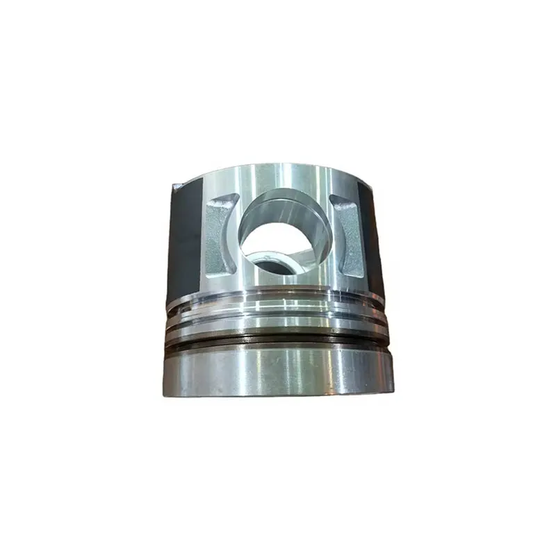 612650030001 поршни Russian